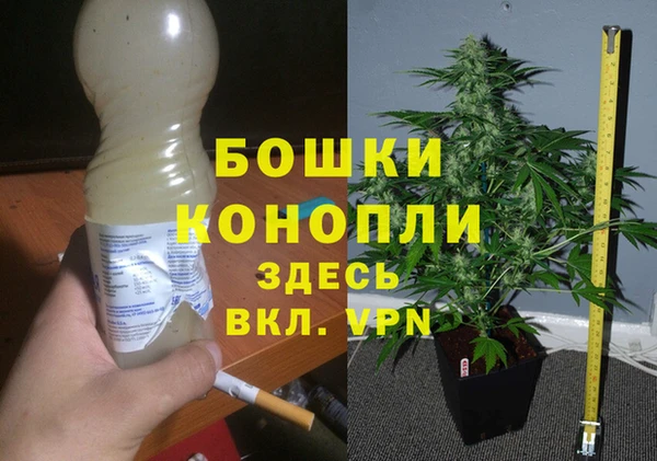 тгк Щигры
