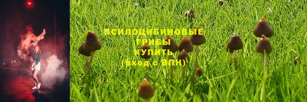 МДМА Новодвинск